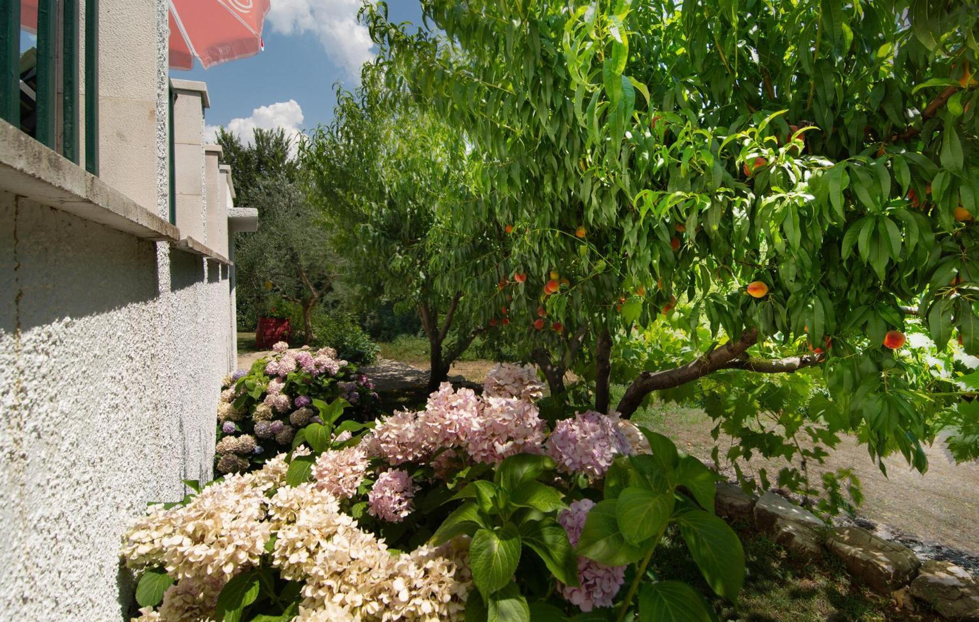 Cozy Home In Podaspilje With Kitchen Svinišće Kültér fotó